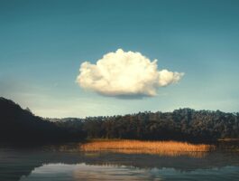 Pros and Cons of Cloud Solutions