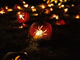 IT Horror Stories and How to Stop Them