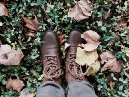 Why you should Spring Clean in the Autumn