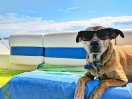 How to manage IT across summer holidays
