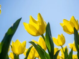 One thing to help spring your business forward