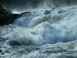 Thing to do for your business in turbulent times