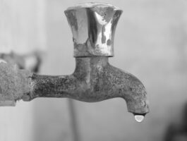 What the largest data leak ever mean for you