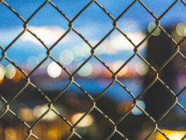 Identity is the New Perimeter: Why Your Password Isn’t Enough in 2026