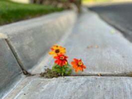 Beyond Cyber Awareness Month: Building a 12-Month Resilience Plan